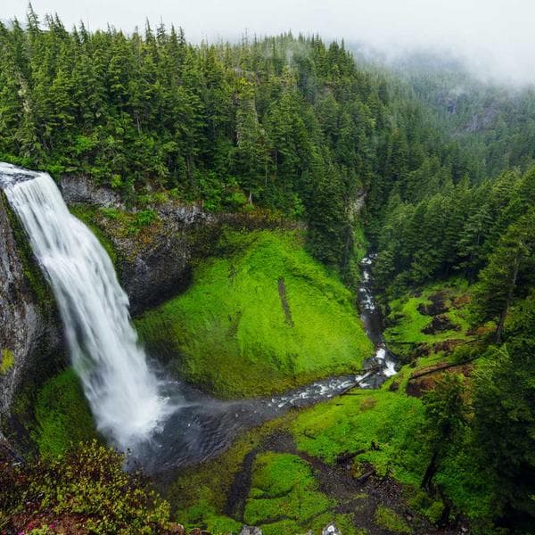 Bureau en bois massif 120cm