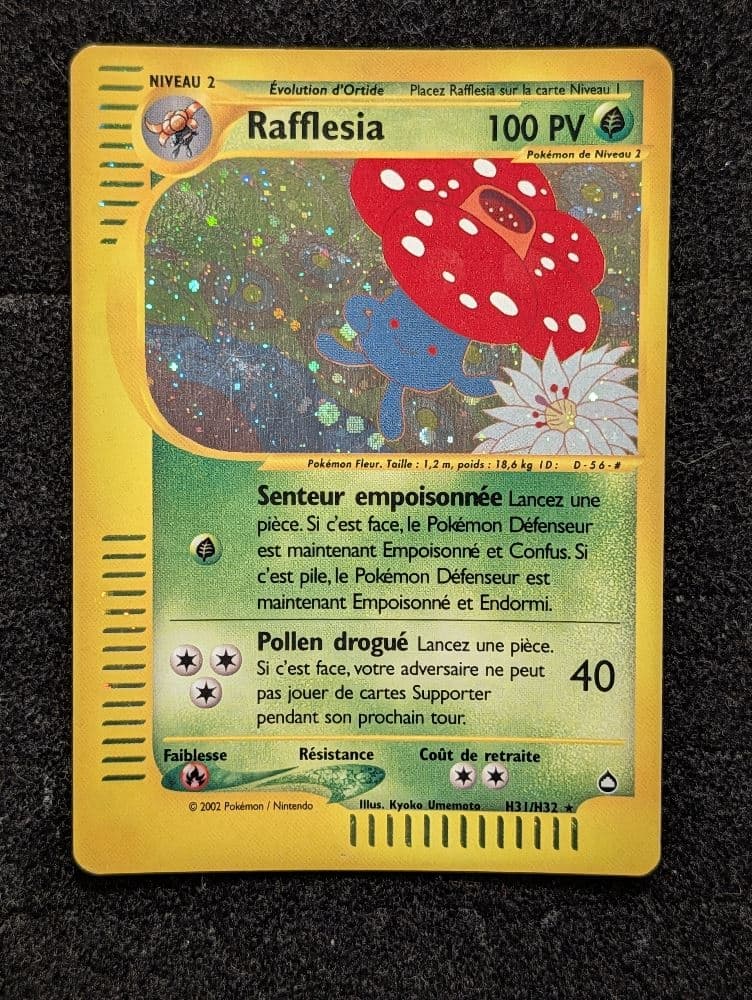 RAFFLESIA HOLO H31 AQUAPOLIS